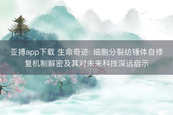 亚搏app下载 生命奇迹: 细胞分裂纺锤体自修复机制解密及其对未来科技深远启示