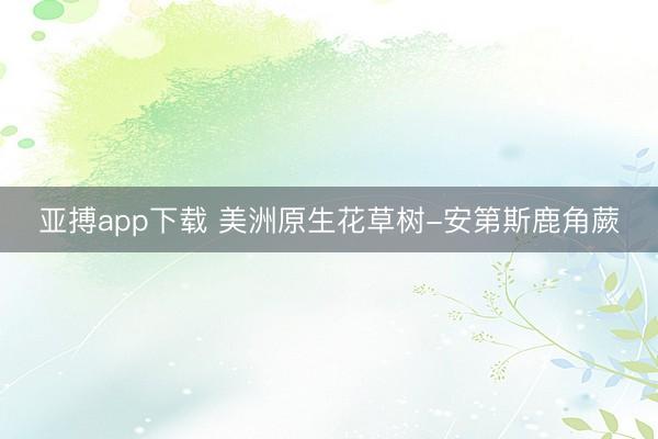 亚搏app下载 美洲原生花草树-安第斯鹿角蕨