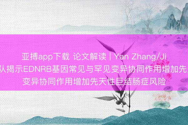 亚搏app下载 论文解读 | Yan Zhang/Jixiao Zeng教授团队揭示EDNRB基因常见与罕见变异协同作用增加先天性巨结肠症风险