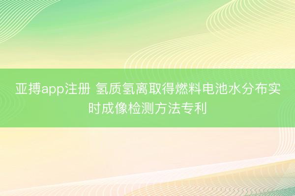 亚搏app注册 氢质氢离取得燃料电池水分布实时成像检测方法专利