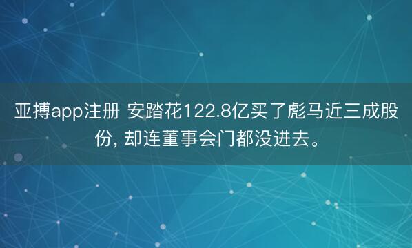 亚搏app注册 安踏花122.8亿买了彪马近三成股份, 却连董事会门都没进去。