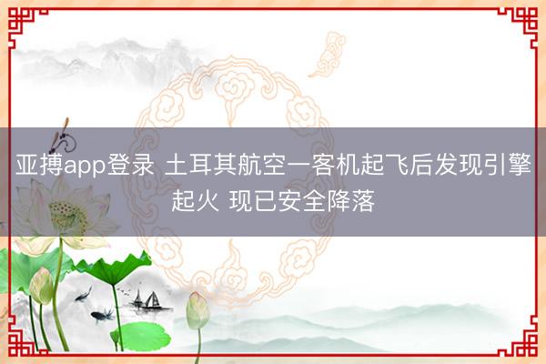 亚搏app登录 土耳其航空一客机起飞后发现引擎起火 现已安全降落