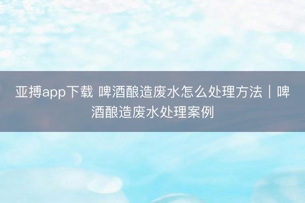 亚搏app下载 啤酒酿造废水怎么处理方法|啤酒酿造废水处理案例