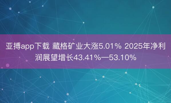亚搏app下载 藏格矿业大涨5.01% 2025年净利润展望增长43.41%—53.10%