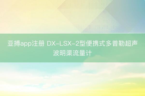 亚搏app注册 DX-LSX-2型便携式多普勒超声波明渠流量计