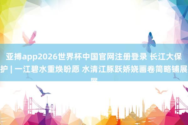 亚搏app2026世界杯中国官网注册登录 长江大保护 | 一江碧水重焕盼愿 水清江豚跃娇娆画卷简略铺展
