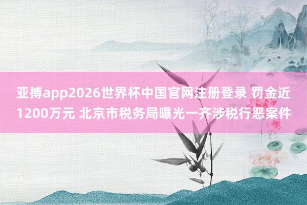亚搏app2026世界杯中国官网注册登录 罚金近1200万元 北京市税务局曝光一齐涉税行恶案件