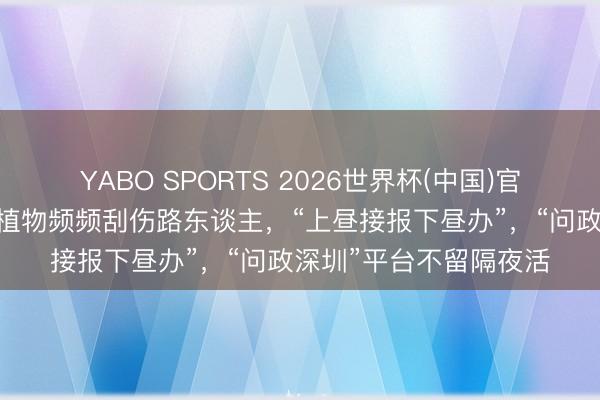 YABO SPORTS 2026世界杯(中国)官网注册登录 路边带刺植物频频刮伤路东谈主，“上昼接报下昼办”，“问政深圳”平台不留隔夜活
