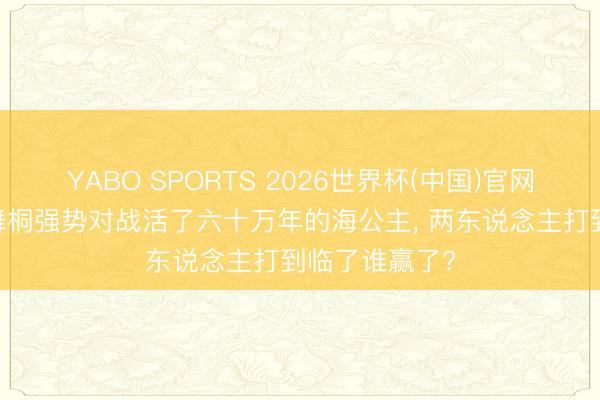 YABO SPORTS 2026世界杯(中国)官网注册登录 唐舞桐强势对战活了六十万年的海公主， 两东说念主打到临了谁赢了?