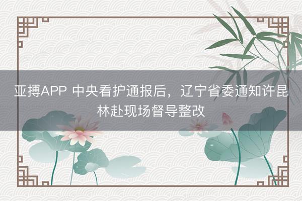 亚搏APP 中央看护通报后，辽宁省委通知许昆林赴现场督导整改