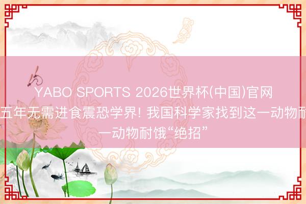 YABO SPORTS 2026世界杯(中国)官网注册登录 五年无需进食震恐学界! 我国科学家找到这一动物耐饿“绝招”