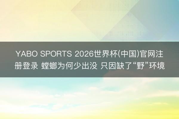 YABO SPORTS 2026世界杯(中国)官网注册登录 螳螂为何少出没 只因缺了“野”环境