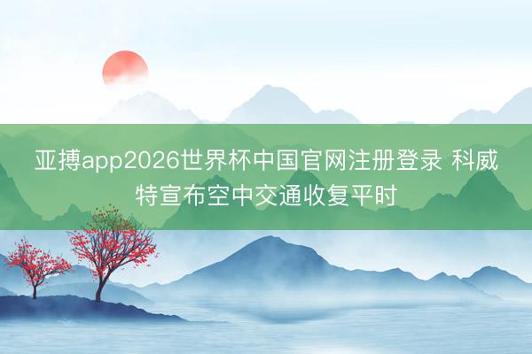 亚搏app2026世界杯中国官网注册登录 科威特宣布空中交通收复平时