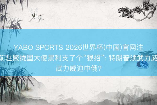 YABO SPORTS 2026世界杯(中国)官网注册登录 前驻聚拢国大使黑利支了个“狠招”: 特朗普须武力威迫中俄?
