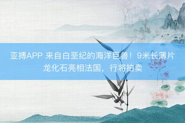 亚搏APP 来自白垩纪的海洋巨兽!9米长薄片龙化石亮相法国,行将拍卖